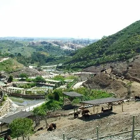 In Miramar 2e *